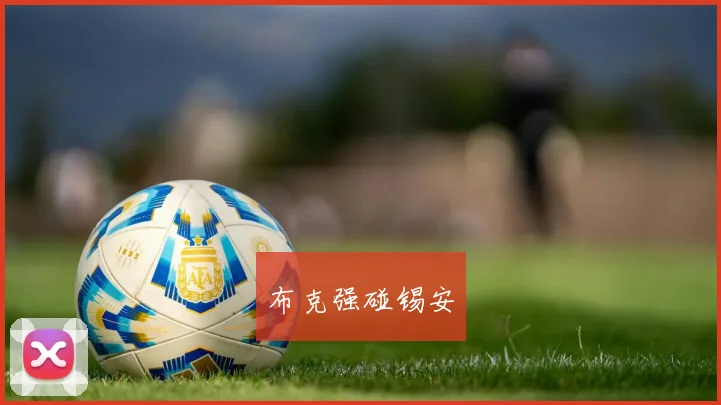 布克强碰锡安