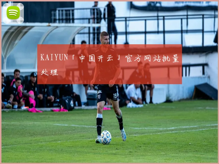 KAIYUN「中国开云」官方网站批量处理