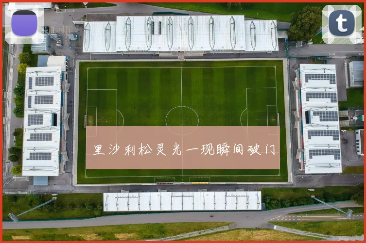 里沙利松灵光一现瞬间破门