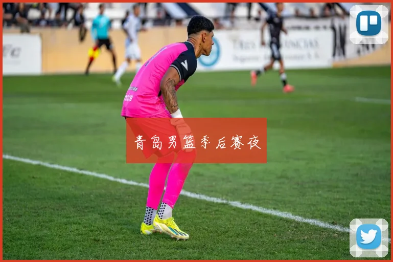 青岛男篮季后赛夜
