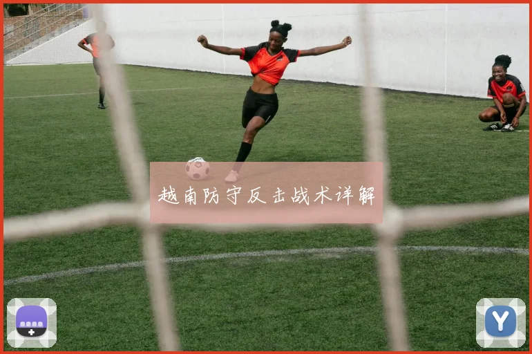 越南防守反击战术详解