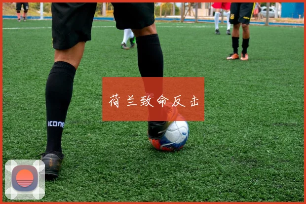 荷兰致命反击