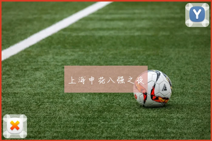 上海申花八强之夜