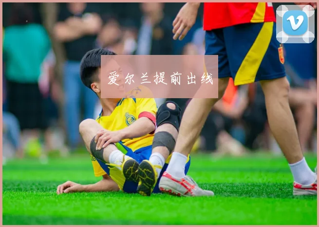 爱尔兰提前出线