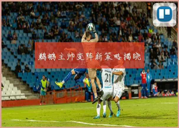鹈鹕主帅变阵新策略揭晓