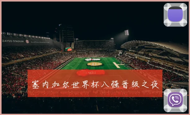 塞内加尔世界杯八强晋级之夜