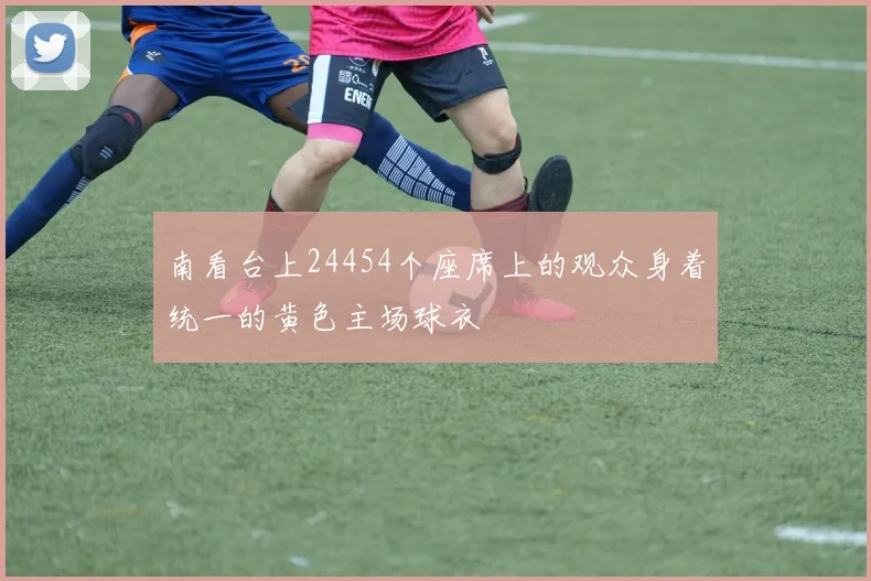 南看台上24454个座席上的观众身着统一的黄色主场球衣