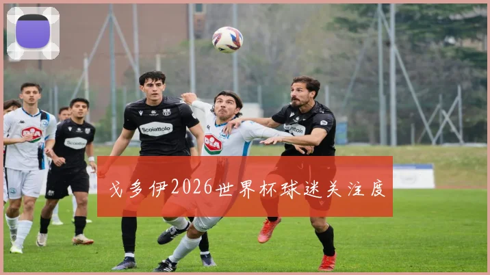 戈多伊2026世界杯球迷关注度