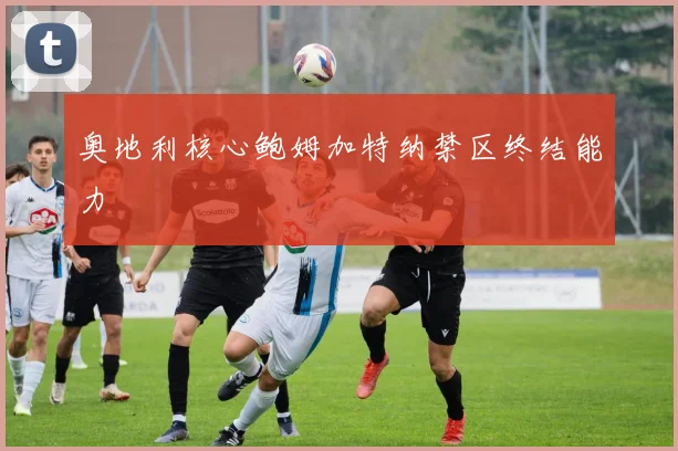 奥地利核心鲍姆加特纳禁区终结能力