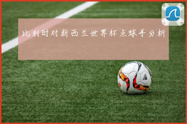 比利时对新西兰世界杯点球手分析
