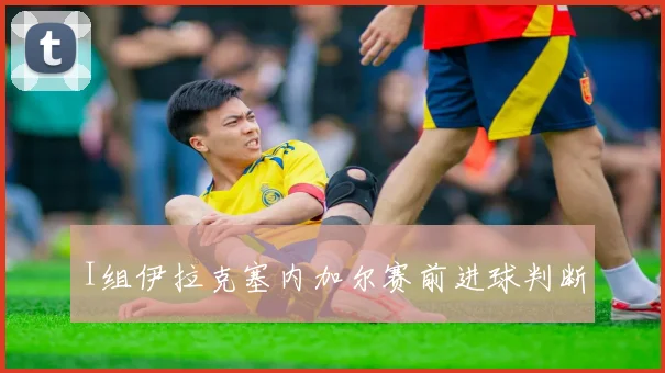 I组伊拉克塞内加尔赛前进球判断