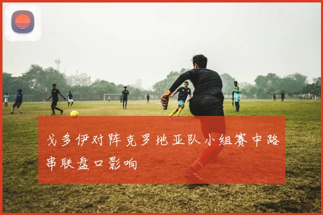 戈多伊对阵克罗地亚队小组赛中路串联盘口影响